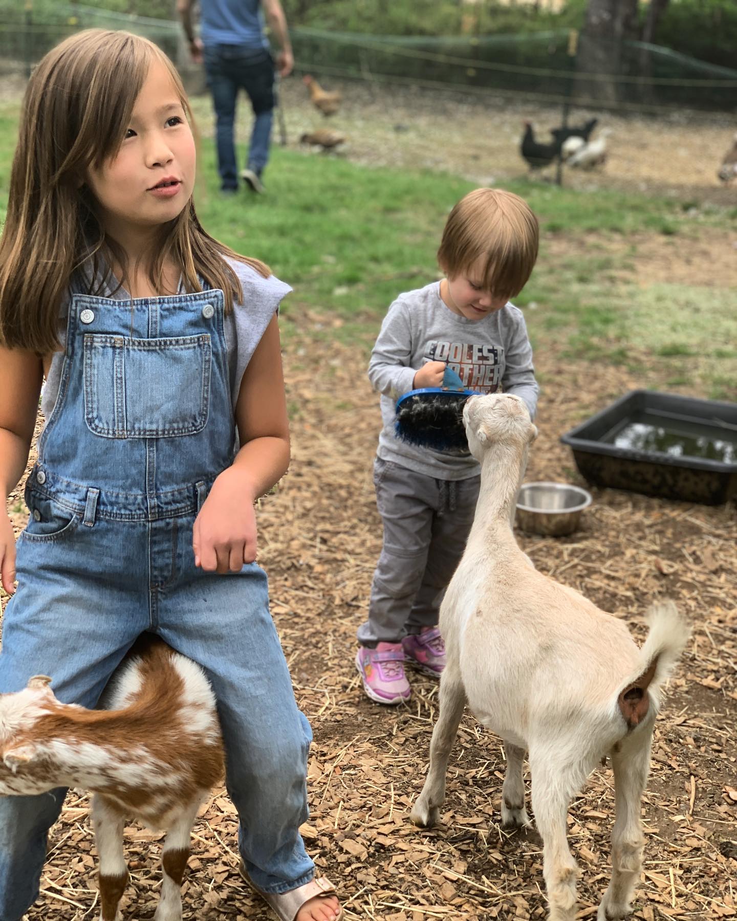 Met up with Sharayah’s friend from the Peace Corps in Olympia, WA, at her sister’s homestead. Good people and lots of fun with the animals.