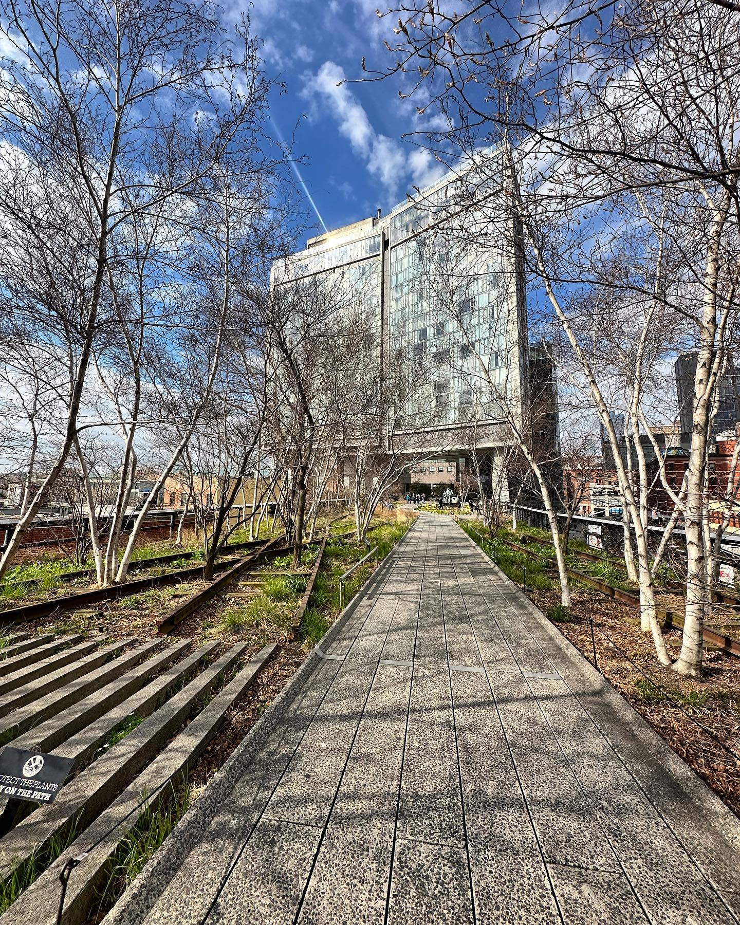 Beautiful day. Decided to take a stroll down the High Line, a former set of elevated train tracks converted into a linear park.