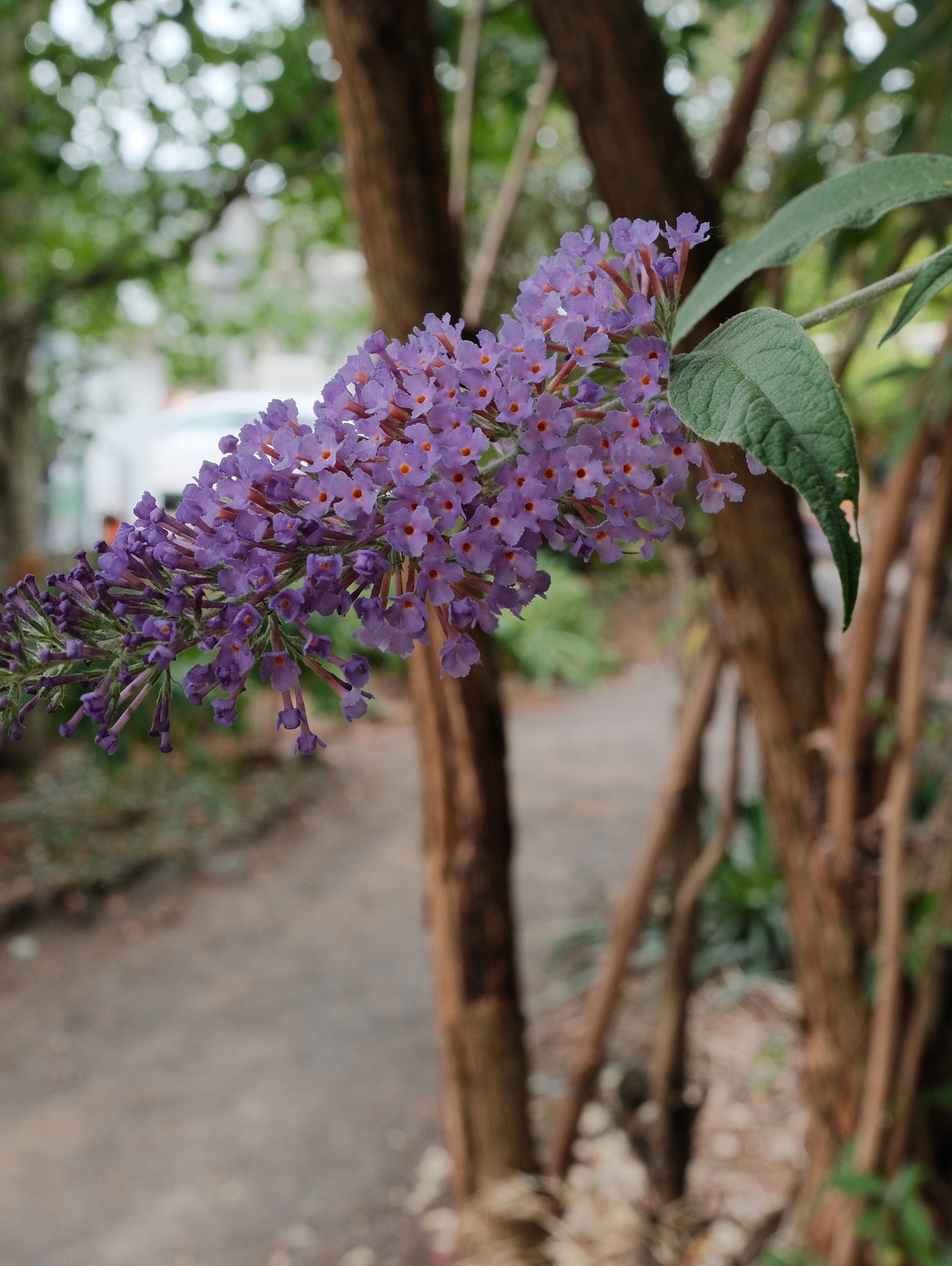 Our friend Amanda, who officiated our wedding, is in town for the weekend from the Bay Area. We spent some time on Alberta Street this afternoon, shopping the…