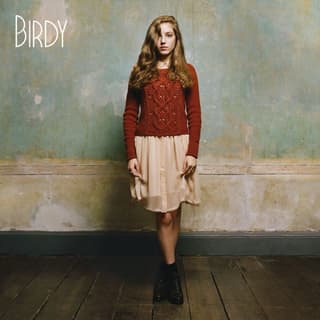 The District Sleeps Alone Tonight by Birdy